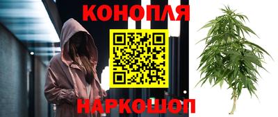 jwh Пугачёв